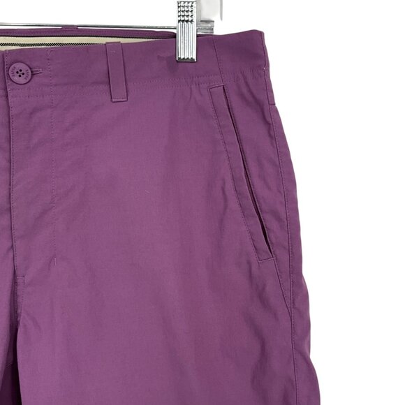 Rapha Randonnee Shorts Size 30 Purple Mountain Cycling Commute Casual Pockets - Picture 2 of 9